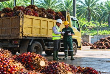 Perdagangan Bahan Baku Sawit